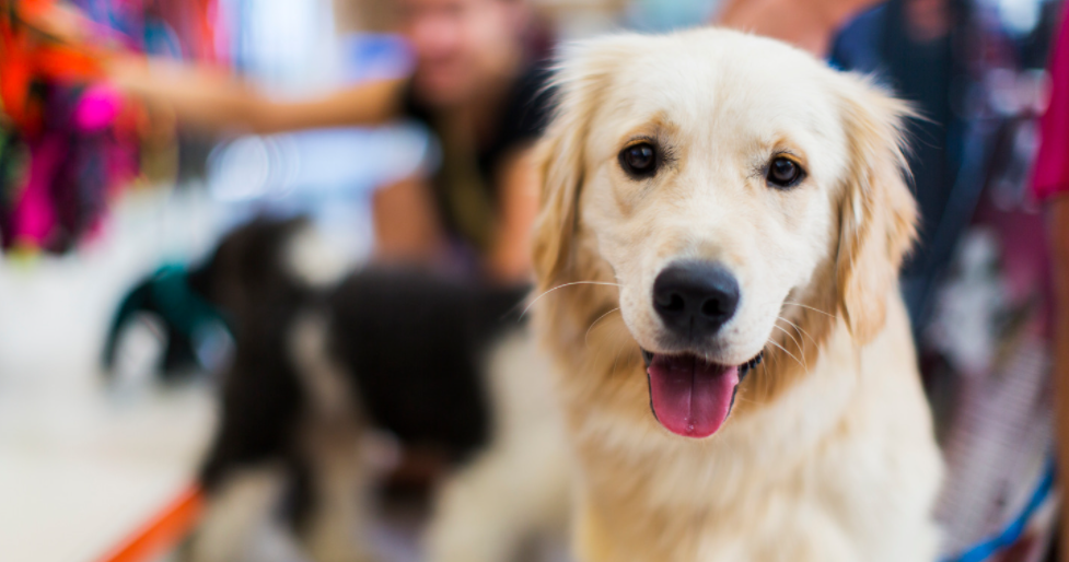 623aa751a1c9726223093bed_RJNKuP5_o06xVU_fMgB9M5YUAWVUsEtJ08VysDpUNhszETHYyjszWbD7yWXqbtqQUqUfVs2fnkbX1J_4cfRy84vzZqhVN9iwONa3DCKJUrjwewoN4KsXv8PBFY8snw